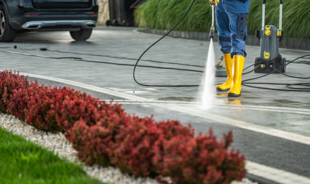 Best Building Exterior Washing  in Roseto, PA